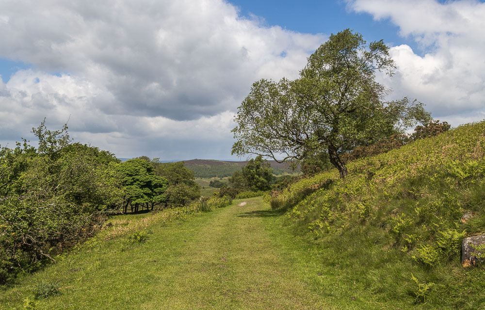 Longshaw Longshaw